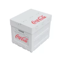 Coca-Cola Custom Design Collaboration: Exclusive 16.5L Folding Box Solution